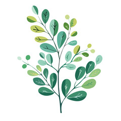Simple flat 2D icon moringa branch leaves set isolated on transparent background, vector, flat design, animation design, vector, flat design, animation design, simple flat 2D icon, clipart