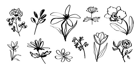 Flowers plants abstract hand drawn black brush stroke. Botanical set of sketches of flower plant silhouettes. Freehand primitive drawing of floral elements for art design.