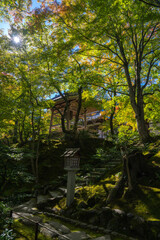 秋の高野山