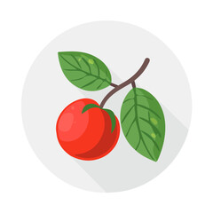 Simple flat 2D icon acerola isolated on transparent background, vector, flat design, animation design, vector, flat design, animation design, simple flat 2D icon, clipart