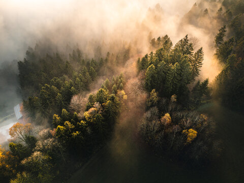 Mystical autumn mood in Bavarian Forest with sunset, mountains a