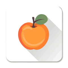 Simple flat 2D icon apricot isolated on transparent background, vector, flat design, animation design, vector, flat design, animation design, simple flat 2D icon, clipart