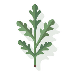 Simple flat 2D icon arugula isolated on transparent background, vector, flat design, animation design, vector, flat design, animation design, simple flat 2D icon, clipart