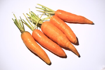 bunch of carrots isolated on white