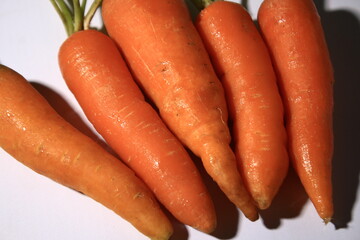 carrots on a table