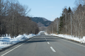 雪が溶けた北海道の冬の森の中の道