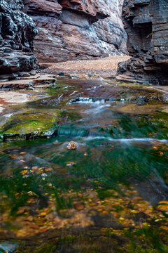 A small stream flowing out of Joffre Gorge