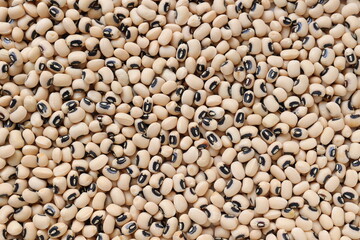 buckwheat groats background