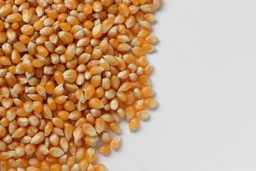 grains of corn
