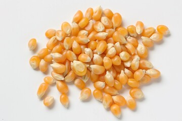 Corn background 