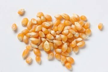 Corn background 