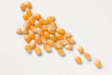 Corn seeds 