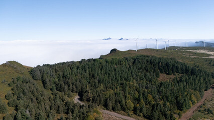 Breathtaking Landscape with Evergreen Forest and Wind Turbines
