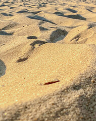 Sand on the beach in the evening light. Shallow depth of field