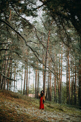 Obraz premium Woman foraging mushrooms in forest during autumn day
