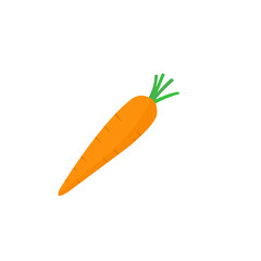 carrot vector 