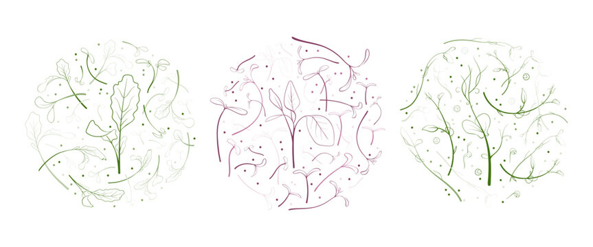 24.10_microgreen_