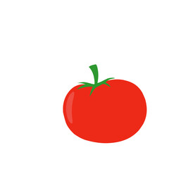 tomato vector 