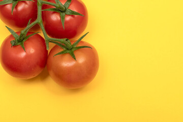 Red cherry tomatoes with green branch on yellow background	
