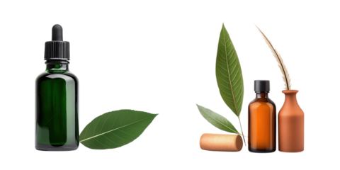 A collection of essential oil bottles accompanied by green leaves, showcasing natural ingredients and aromatic properties.