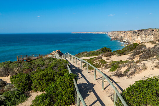 Boardwalk at Head of Bight along the Nullabor Plain