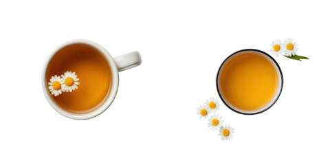Two cups of herbal tea adorned with fresh daisies, showcasing a harmonious blend of warmth and natural beauty.