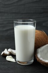 Glass of milk with coconuts on the table