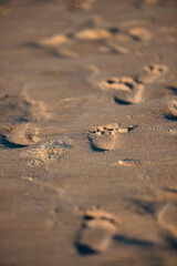 Spuren im Sand