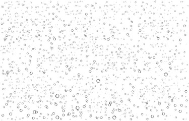 Oxygen air bubbles  flow  in water on white  background.