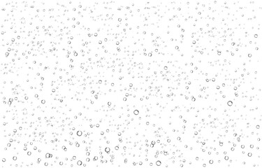 Obraz premium Oxygen air bubbles flow in water on white background.