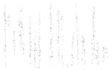 Oxygen air bubbles  flow  in water on white  background.