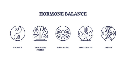 Hormone balance icons outline key concepts like balance, endocrine system, and energy, transparent background. Outline icons set.