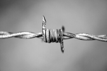 Zdjęcie drutu kolczastego b/w © Emil