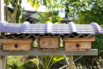 wooden house of stingless bee