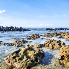 small coral reef on the beach