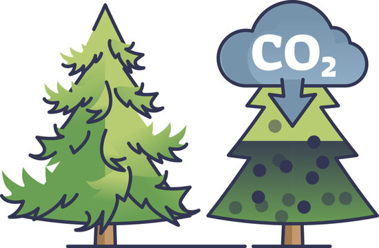 Illustration of trees absorbing CO2, representing carbon sequestration.