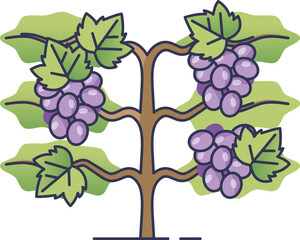 Naklejka premium Illustration of a grapevine with clusters of purple grapes and green leaves.