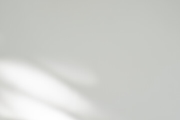 gray sunlight background