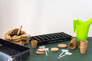 Planting tomato and pepper seeds in plastic containers and eco-pots, growing seedlings at home, preparing for spring work in the garden