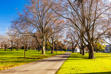 Fototapeta premium Carlton Gardens in Melbourne Australia