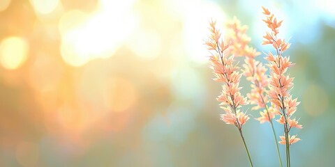 Delicate flowers glowing in soft light create a serene and tranquil atmosphere.