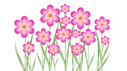 สำเนาของ Pink flower with round petals, yellow stamens, long green leaves on a white background.พื้นหลังแนวนอน - 39