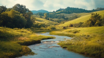 Serene Stream Winding Through Lush Green Meadows