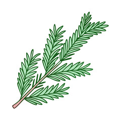 evergreen branch vector art,  flat illustration evergreen branch icon