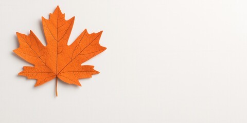 Fototapeta premium A vibrant orange maple leaf on a clean white background showcasing autumn beauty.