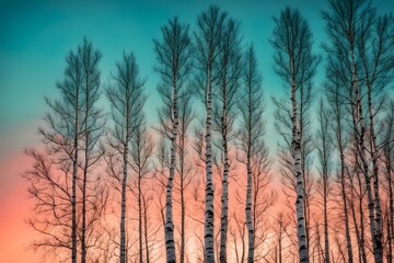 Silhouetted birch trees against a vibrant sky with a color gradient of teal and peach, Ai generated