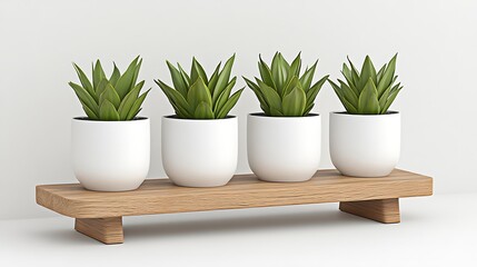 Fototapeta premium Enhance your home decor with stylish greenery discover the beauty of potted plants