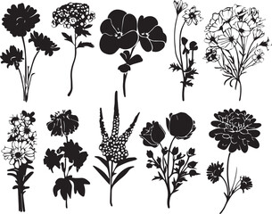 Set Flowers. Hand drawn vector illustration