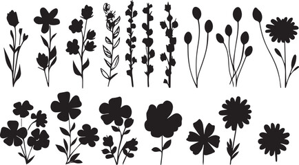 Set Flowers. Hand drawn vector illustration