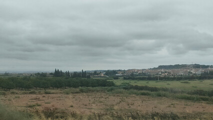 clouds over forest